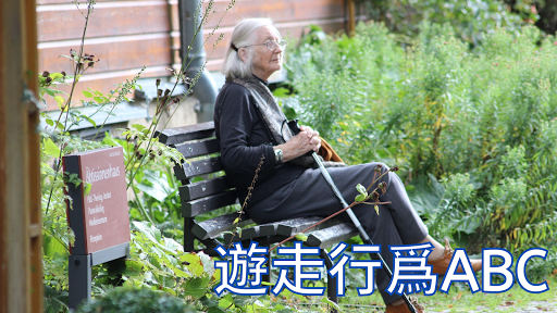 遊走行爲觀察abc-三