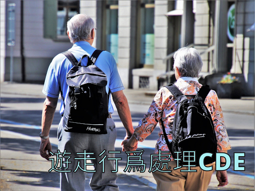 遊走行為處理cde-二